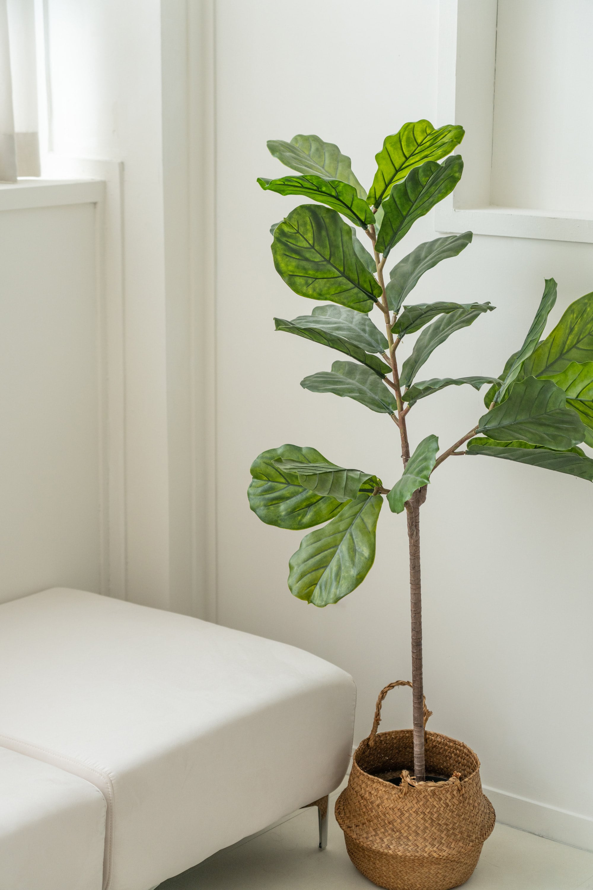 러키스튜디오 촬영 공간 10